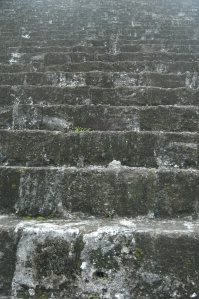 Stone steps of Temple IV at the Mayan Ruins, Tikal, Peten, Guatemala